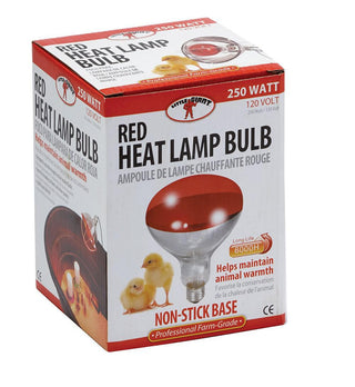 Red Heat Lamp Bulb, 120 V, 250 W