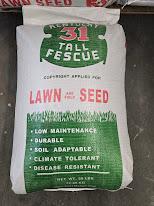 Kentucky 31 Fescue 50 lbs