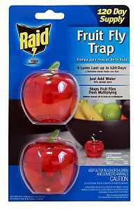 Raid 2PK-FFTA-RAID Fruit Fly Trap, Solid, Sweetish, Light Brown