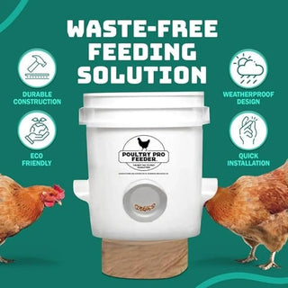 Poultry Pro Feeder Kit
