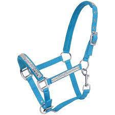 Tough1 Nylon Economy Halter Horse Turquoise
