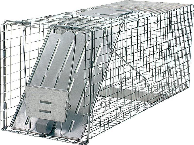 Havahart 1079 Animal Trap, 32 in L, 10 in W, 12 in H, Spring-Loaded Door