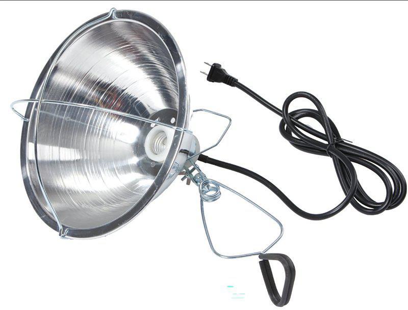 Little Giant 170017 Brooder Reflector Lamp, 300 W