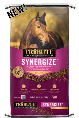 Tribute Synergize