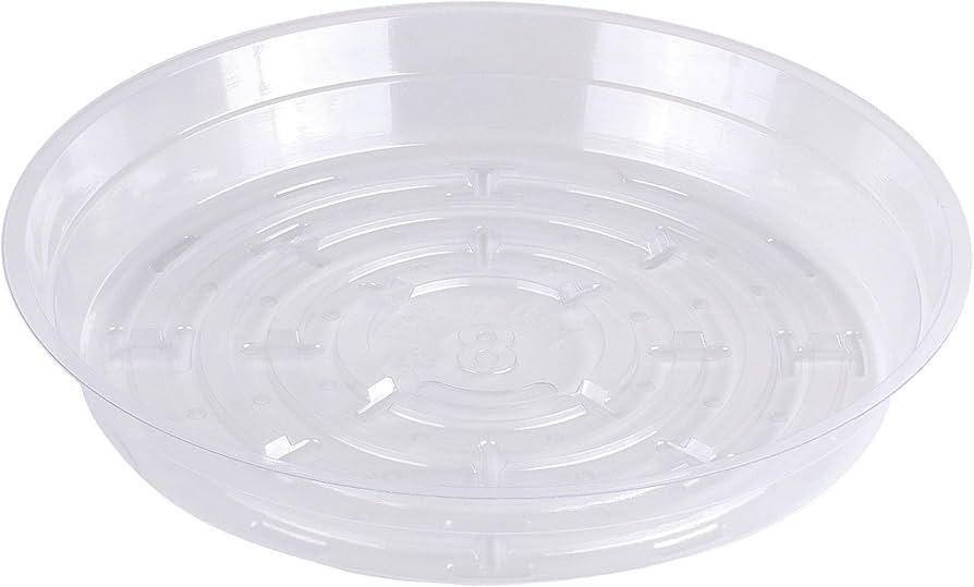 CW-800 8" Clear Plant Saucer