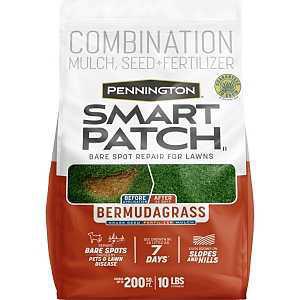 BERMUDA GRAS MIX S/F/M BG 10LB