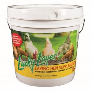 Lucky Layer Laying Hen Supplement 12-lb Pail