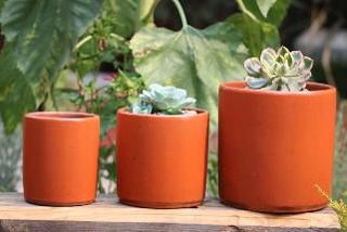 BEGONIA PLANTER, SUNSET ORANGE - 6.5"X6.5"
