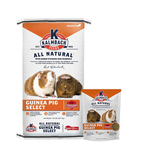 Kalmbach Guinea Pig Feed 8 lb