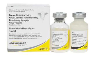 Bovi-Shield Gold One Shot Vaccine, Modified Live Virus, 10mL