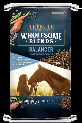 Tribute Wholesome Blends Balancer