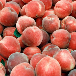 Peach Blushingstar® Dwarf # 7