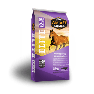 Amber Grains Elite 10-10 Performance