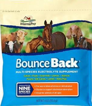Manna Pro Bounce Back Supplement - 4 oz