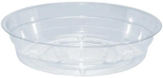 CW-500 5" Clear Plant Saucer