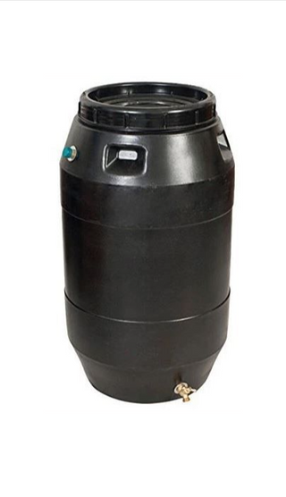 Rain Barrel