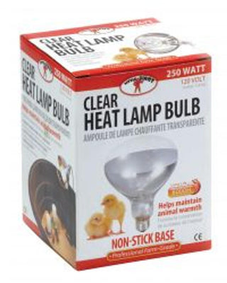 Little Giant 250W Clear Heat Lamp Bulb