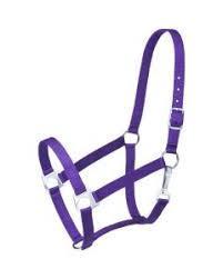 Tough1 Nylon Economy Halter Horse Purple