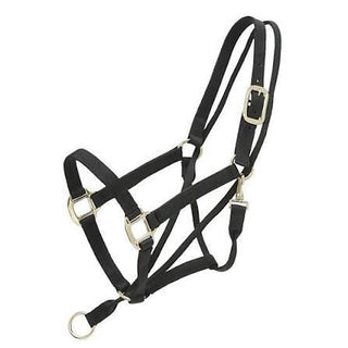 Tough1 Nylon Economy Halter Horse Black