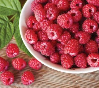 Raspberry Red Heritage # 2