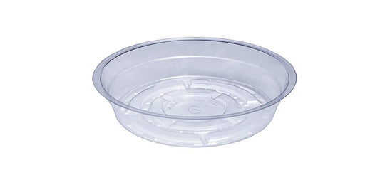 CW-600 6" Clear Plant Saucer