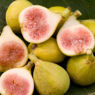 Fig Peters Honey # 5