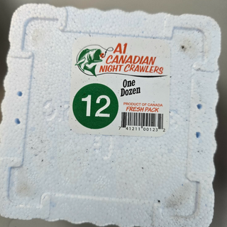 A1 Canadian Night Crawlers (Qty: 12)