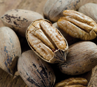 Nut Pawnee Pecan #7