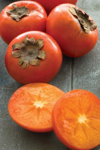 Persimmon Native American # 7