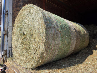 Mixed Fescue Round Bale