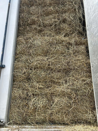 (*NEW) Fescue Square