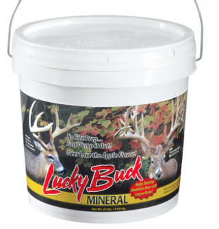 Lucky Buck Minerals