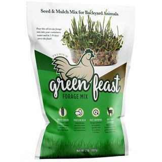 Amturf® Green Feast Chicken Forage Mixture - 2lb