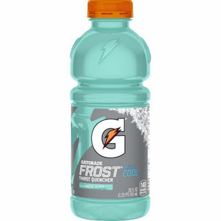 Gatorade 20oz Arctic Blitz