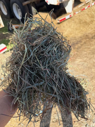 3rd Cut Timothy / Orchard Hay