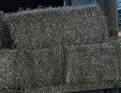 Wheat Straw Bale