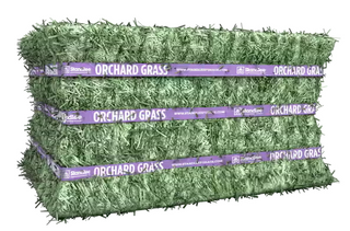 Standlee Orchard Compressed Bale