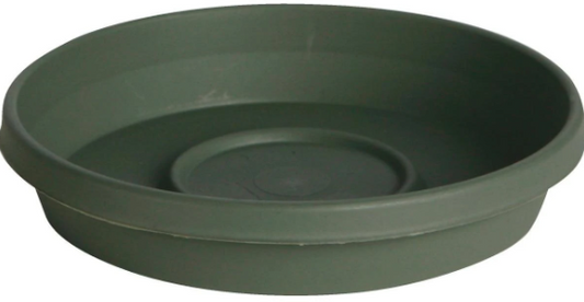 Bloem Living 8" Terra Living Plastic Green Saucer (51408)