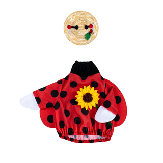 Porch Goose Outfit,  Ladybug