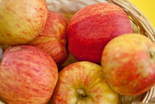 Gala Apple (Malus 'Fruit Gala') - 5 gallon 60"