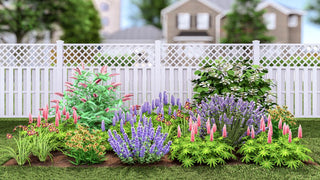 Plants That Work for a Sun Garden (PLANTS THAT WORK SUN GARDEN) -