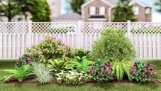 Plants That Work for a Shade Garden (PLANTS THAT WORK SHADE GARDEN) -