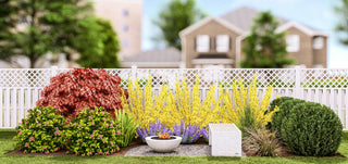 Plants That Work for a Sitting Garden (PLANTS THAT WORK SITTING GARDEN) -