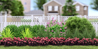 Plants That Work for a Winter Interest Garden (PLANTS THAT WORK WINTER INTEREST GARDEN) -